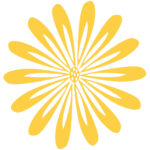 Mainzer Minipressen-Messe Schöne Bücher