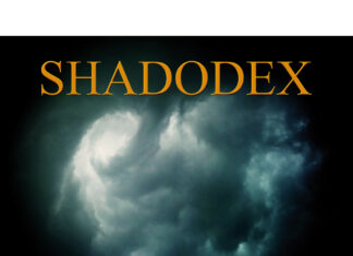 Verlassene Orte unter der Erde: Shadodex sucht Kurzgeschichten. Burgenwelt Verlag