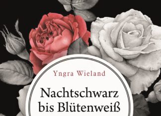 Nachtschwarz bis Blütenweiß – Rosen, Rilke und der Krieg Nachtschwarz-bis-Bluetenweiss-Yngra-Wieland