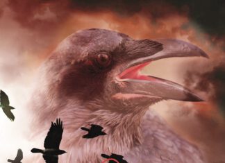 Rabenauge Rabenauge, Sabine D. Jacob