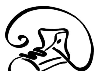 Glückschuh Verlag Glückschuh Verlag