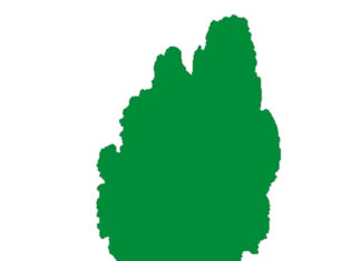 Machandel Verlag Machandel Verlag