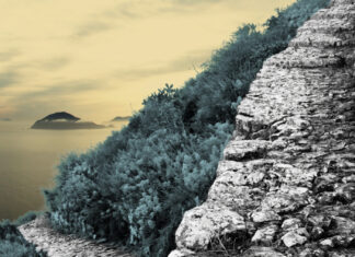 Tarantella Tarantella, Jens-Uwe Sommerschuh