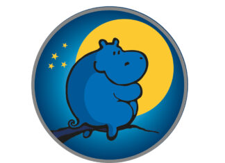 Traumsalon edition Traumsalon edition