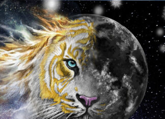 Chandra – MondKindSaga 1 Chandra – MondKindSaga 1, Calin Noell