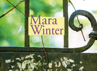 Das geheime Kapitel Das geheime Kapitel, Mara Winter