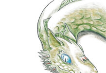 Fionrirs Reise Fionrirs Reise, Andreas Arnold