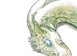 Fionrirs Reise Fionrirs Reise, Andreas Arnold