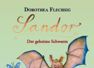 Sandor – Der geheime Schwarm Sandor - Der geheime Schwarm, Dorothea Flechsig