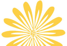 Berliner Bücherfest Schöne Bücher Events