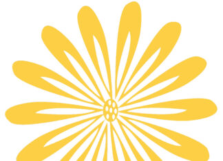 Dresden (er)lesen Schöne Bücher Events