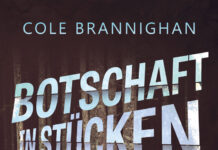 Botschaft in Stücken – Ein Norwegen-Thriller Botschaft in Stücken, Cole Brannighan
