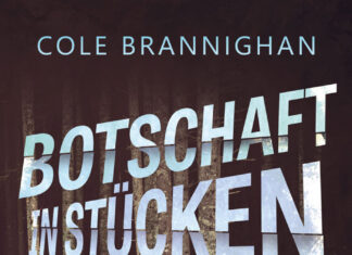 Botschaft in Stücken – Ein Norwegen-Thriller Botschaft in Stücken, Cole Brannighan