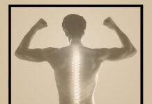 Rückenfit – 4-Wochen-Programm Rückenfit, Dana Herrlich