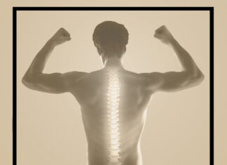 Rückenfit – 4-Wochen-Programm Rückenfit, Dana Herrlich