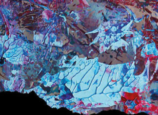 Tinten-Wut Tinten Wut. Sigrid Drübbisch