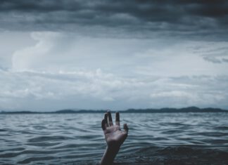 „Die Herausforderungen der Kleinen: Warum das Buchhandelssystem für unabhängige Kleinverlage nicht funktioniert.“ Foto: Stormseeker/Unsplash