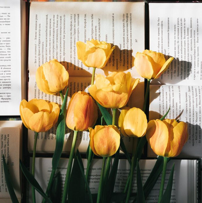 Für jeden lässt sich ein individuelles Book Bouquet keieren. Das Schöne-Bücher-Netzwerk liefert spannende Inspirationen. (Foto: NastasyaDay/pixabay)