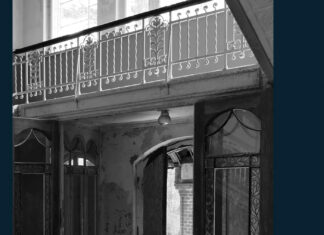 Camilles Schatten Camilles Schatten, Susanne Konrad