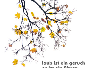 laub ist ein geruch es ist ein flirren – Neue Gedichte und Bilder vom Herbst laub ist ein geruch es ist ein flirren – Neue Gedichte und Bilder vom Herbst, Marco Sagurna (Hrsg.) & Willi Rolfes