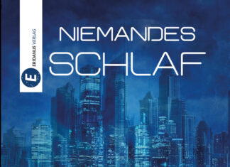 Niemandes Schlaf – SF-Roman Niemandes Schlaf – SF-Roman, Sven Haupt