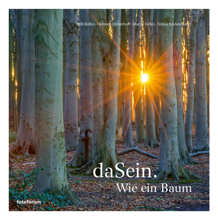 daSein. Wie ein Baum, Willi Rolfes, Heinrich Dickerho, Martin Feltes, Tobias Böckermann