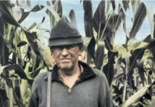 Hoch Mittag Hoch Mittag, Konrad H. Roenne