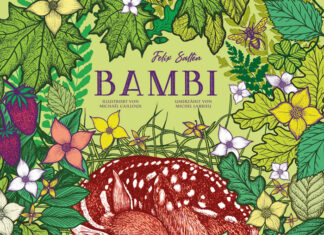Bambi Bambi, Felix Salten und Michel Larrieu (Text); Michaël Cailloux (Illustrationen)